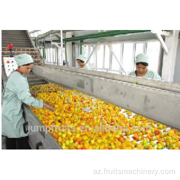 Sənaye peşəsi Mango suyu ekstraktoru